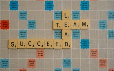 Effective Support for Leaders